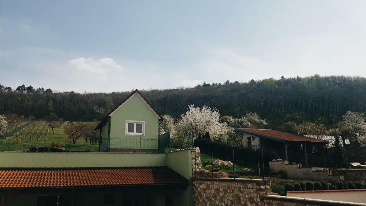 Hotel Pod Vinici Mikulov Exterior foto